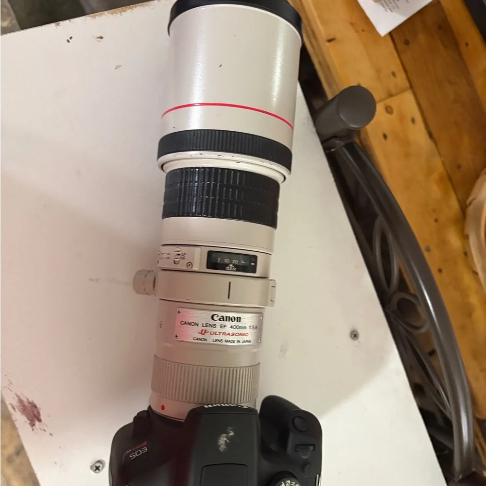 Canon White Telephoto Zoom Lens with Black Accents